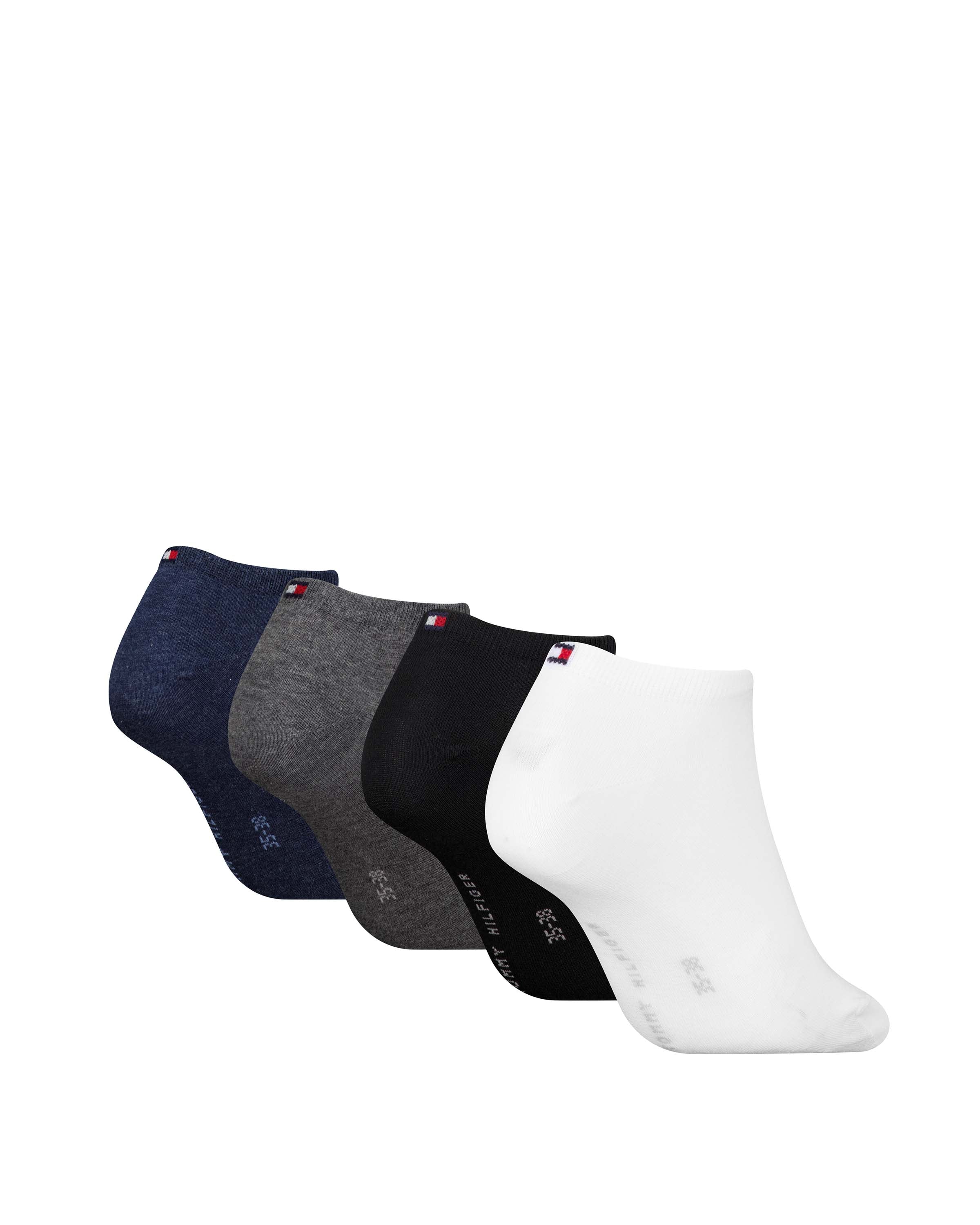 Miniatuur 2